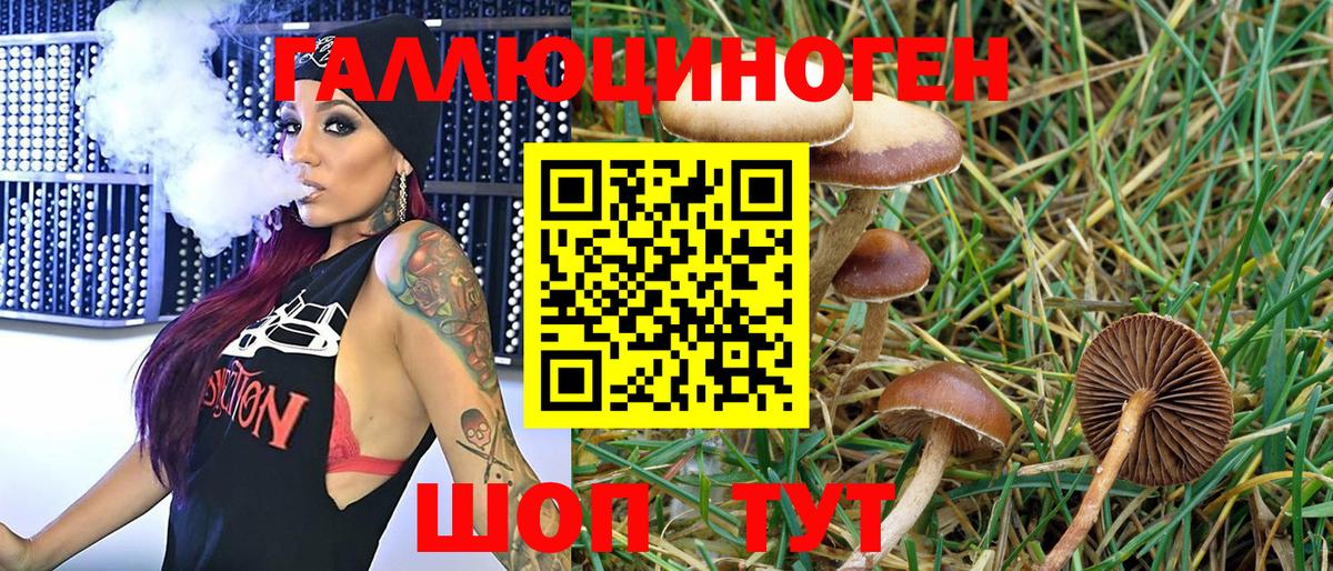 Псилоцибиновые грибы GOLDEN TEACHER Кинель